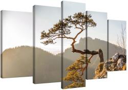 DEGRETS Vászonkép szett DEGRETS 78490, 60 x 100 cm, 5 részes (2x40x20 cm, 2x50x20 cm, 1x60x20 cm) (78490)