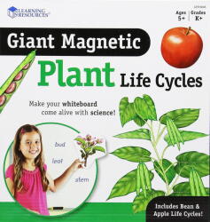 Learning Resources Ciclul vietii plantei - set magnetic (EDUC-LER6045)