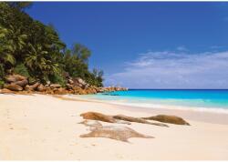 DEGRETS Fotótapéta DEGRETS 83900 Egzotikus tengerpart, 184x254cm (83900)