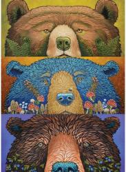 Cobble Hill 45134 - Harvest-Bear Eyes - 500 db-os puzzle (45134)