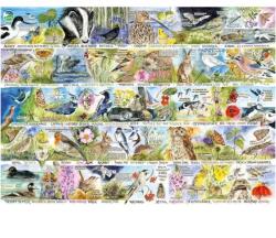 Gibsons 7151 - RSPB - Birdsong & Bluebells - 1000 db-os puzzle (G7151)