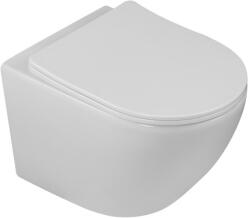 Laveo DESNA falra szerelhető WC csésze keskeny csillapított ülőkével, CycleON - örvény öblítéssel - VMD_609S (VMD_609S)