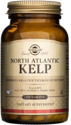 Solgar Kelp din Atlanticul de Nord - 250 Tablete