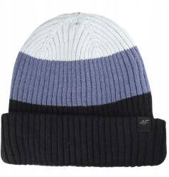 4F Férfi Sapka, klasszikus, téli, meleg, fekete, beanie (4FWAW25ACAPM629)