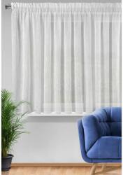 EUROFIRANY Carla fényáteresztő függöny Fehér 300x145 cm