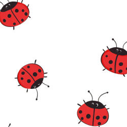 Takoy Konfekciós bordás Jersey Takoy kiránduló katicabogár