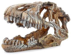 Dophin dekor dinókoponya nagy 17x8x9cm (DHU714)