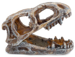 Dophin dekor dinókoponya 10cm (DHU779)