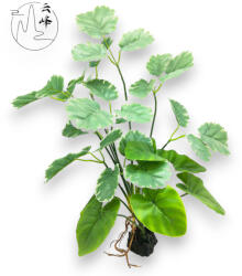 Pannon Pet Műnövény dekor 161 (PN39161)