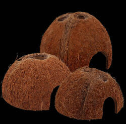 Repti Planet kókuszház M (RP53452)