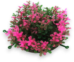 Pannon Pet Műnövény dekor 148 (PN39148)