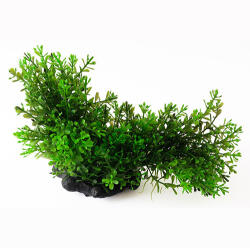 Pannon Pet Műnövény dekor 134 (PN39134)