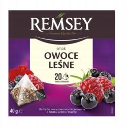 Remsey Erdei gyümölcs tea 20 filter 40g (030085)
