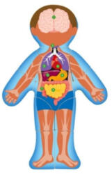 Woodyland - Emberi test puzzle (91922)