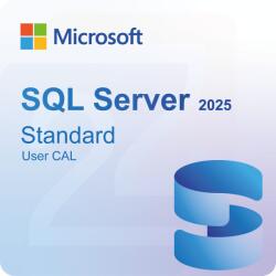 Microsoft SQL Server 2025 Standard 1 User CAL (EP259768)