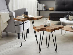 MAXISHOP Italia Collection Set de 2 mese laterale CAMROSE Lemn de tec Maro inchis (473926) Masa de cafea
