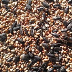 TRÓPUS Trópus Téli Vadmadár magkeverék (10 kg)