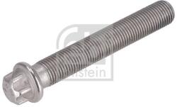 Febi Bilstein Surub, disc frana FEBI BILSTEIN 198563 (198563) - automobilus