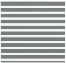 vidaXL zebrafüggönnyel sötét szürke szövetszélesség 160, 9cm poliészter (4014144)