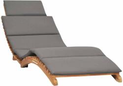 vidaXL tömör tíkfa összecsukható napozóágy sötétszürke párnával (310668)
