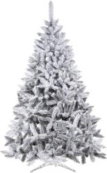 SPRINGOS Kaukázusi havas lucfenyő 150 cm (CT0123)