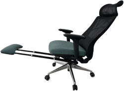 Aarven 4D pull-out footrest DQ-1906A2-WX