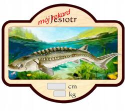 Perfekt hűtőmágnes, 3D hatású, horgászoknak, 7.5×9.3cm (MNLP-JESIOTR)