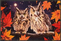 Kleen-Tex Wash+Dry Baglyok lábtörlő, 50×75cm, csúszásmentes (073362)