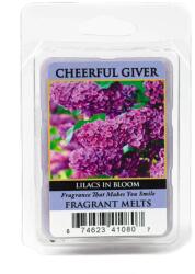 Cheerful Candle Cheerful Candle® Lilacs in Bloom mini viasz 55 g