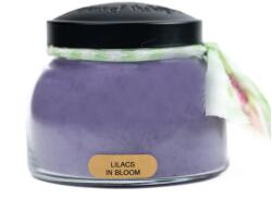 Keepers of the Light Keepers of the Light® Lilacs in Bloom közepes üveggyertya 624 g
