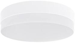 2R FSL DELUX R206 18W 4000K felületre szerelhető kerek lámpatest (L091220000)