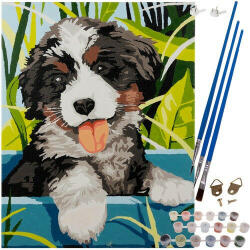  Painting by numbers 40x30cm - dog Maaleo 22780