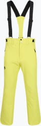 Descente Pantaloni de schi pentru bărbați Descente Swiss actus green