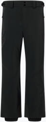 Descente Pantaloni de schi pentru bărbați Descente Swiss black
