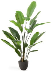 Kave Home Banánfa műnövény (magasság 210 cm) - Kave Home