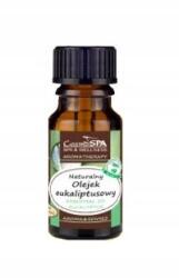 CosmoSPA Eukaliptusz természetes szauna és aromaterápia illóolaj 10 ml 09/2026 (5902020191728)