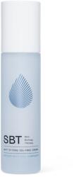 SBT Mattifying Oil-Free Cream 50 ml