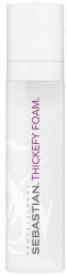 Sebastian Professional Fixáló hajhab (Thickefy Foam) 190 ml