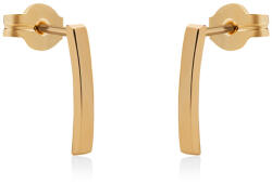 Brilio Bájos fülbevaló sárga aranyból 14/192.121/3