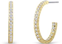 CRYSTalp Aranyozott karika fülbevaló kristályokkal Eva 40047. CRY. G