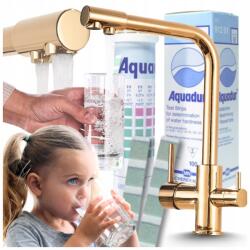 Ari konyhai csaptelep, arany színű, 3-utas, vízszűrőhöz, forgatható kifolyóval (Bateria Kuchenna Trójdrożna 009)