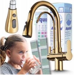 Ari Konyhai csaptelep, kihúzható, arany, háromutas, vízszűrőhöz (Bateria Kuchenna Trójdrożna 431)