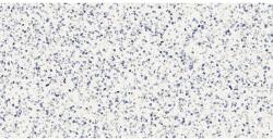 Marazzi Gresie interior portelanata albastru 60x120 cm, Marazzi Frammento Macro Azzurro (MN13)