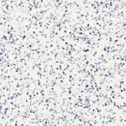 Marazzi Gresie interior portelanata albastru 60x60 cm, Marazzi Frammento Macro Azzurro (MN1L)