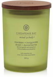 Chesapeake Bay Mind & Body Awaken & Invigorate 250 g