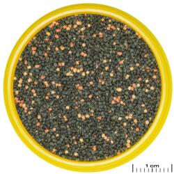 JBL PRONOVO GUPPY GRANO S 100 ml