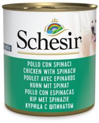 Schesir dog Felnőtt - csirke spenóttal 8 x 285 g