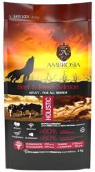 AMBROSIA Adult All Breeds Beef & Fresh Salmon 2 kg