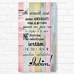 Brunofunnyshop Tablou mesaj motivational IN ACEASTA CASA roz