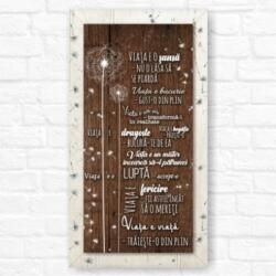 Brunofunnyshop Tablou mesaj motivational VIATA E O SANSA